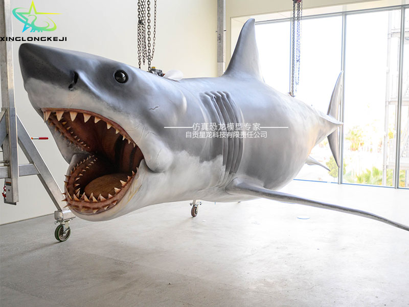 策划道具摆件拍照景点宣传 仿真鲨鱼装饰品模型 海洋动物工艺品