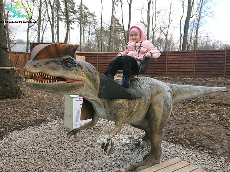 互动恐龙骑乘恐龙双冠龙