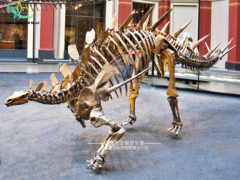 侏罗纪恐龙化石模型