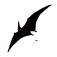 恐龙展